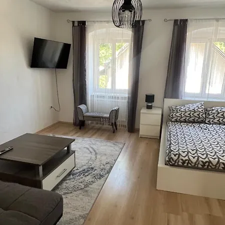 Apartment In Gmunden